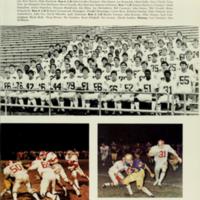 Serpetine 1979 Tyronne Scott.jpg