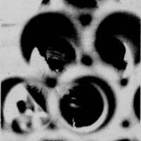 article_clipping_0.jpg